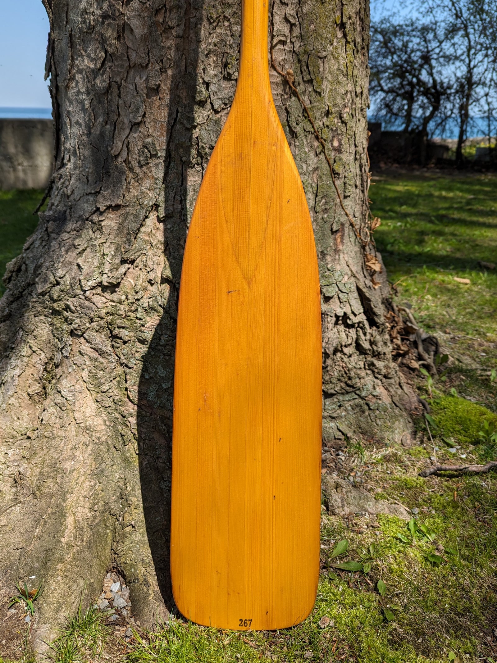 AVIRON CLEMENT 58" PADDLE donated by Bonnie Kukula