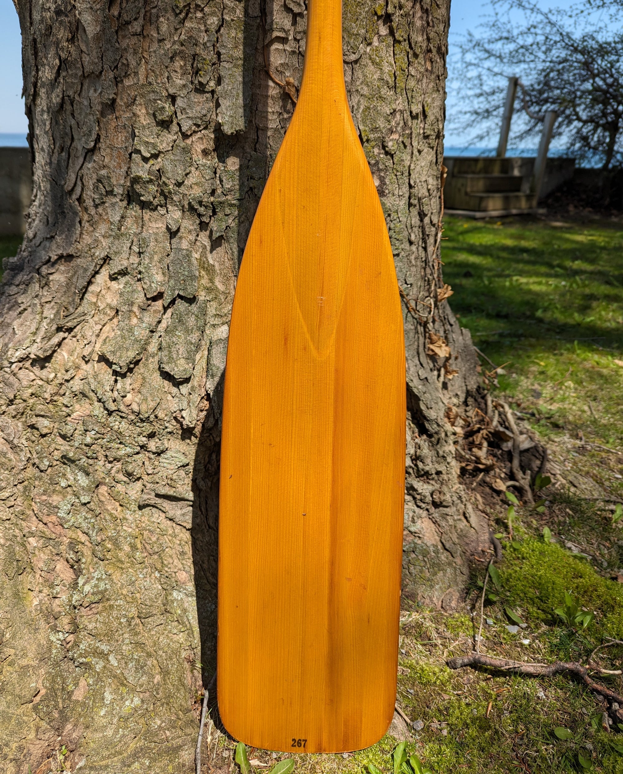 AVIRON CLEMENT 66" PADDLE donated by Bonnie Kukula