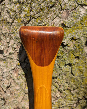 AVIRON CLEMENT 58" PADDLE donated by Bonnie Kukula