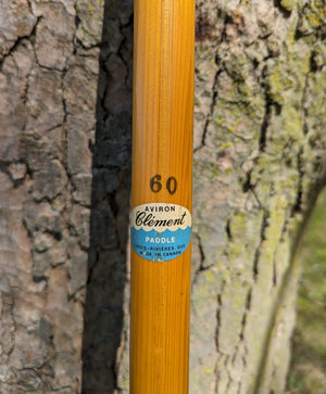 AVIRON CLEMENT 60" PADDLE donated by Bonnie Kukula