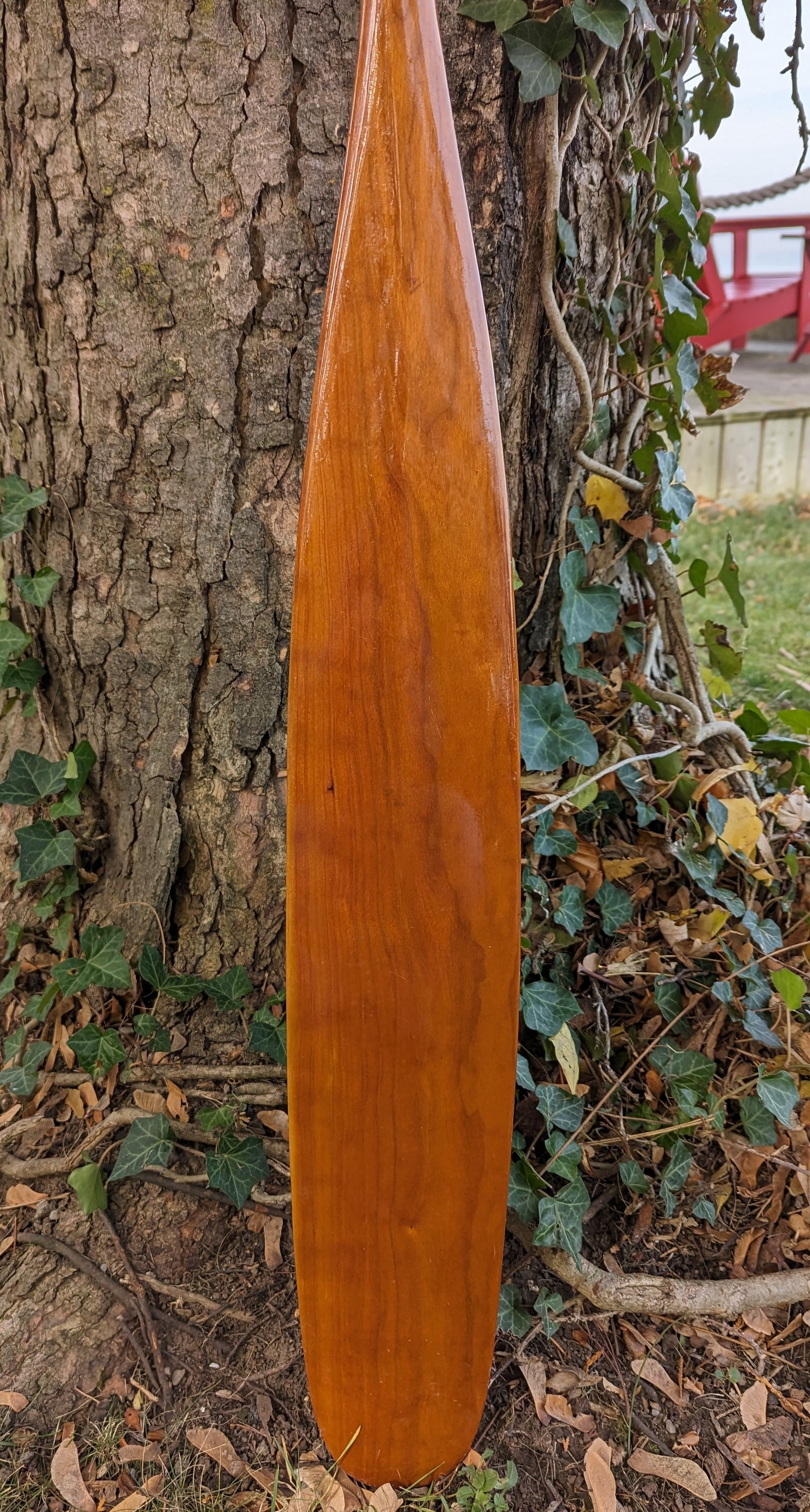CPC CHERRY OTTERTAIL PADDLE