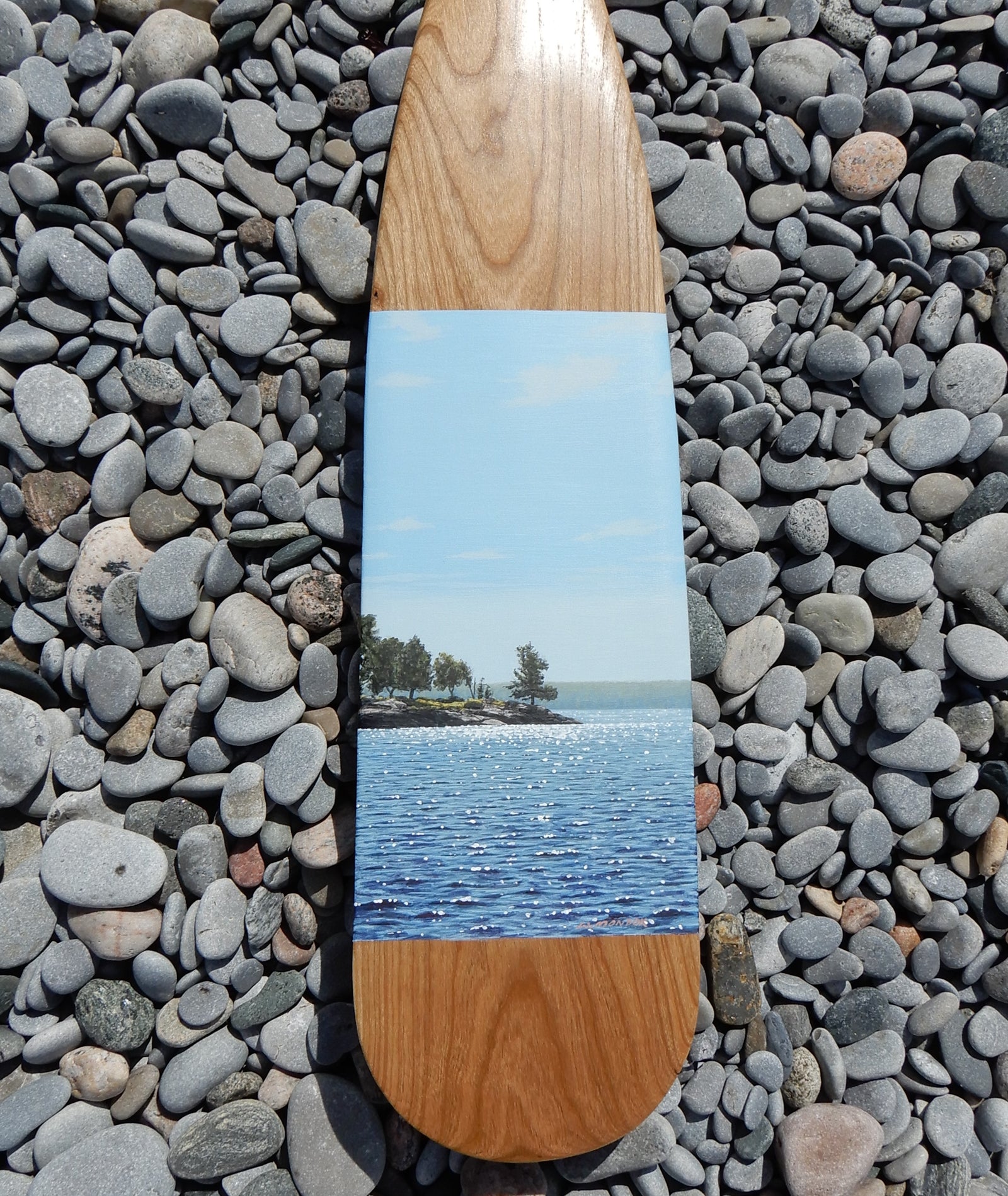 WATER IS LIFE by Wayne Mondok