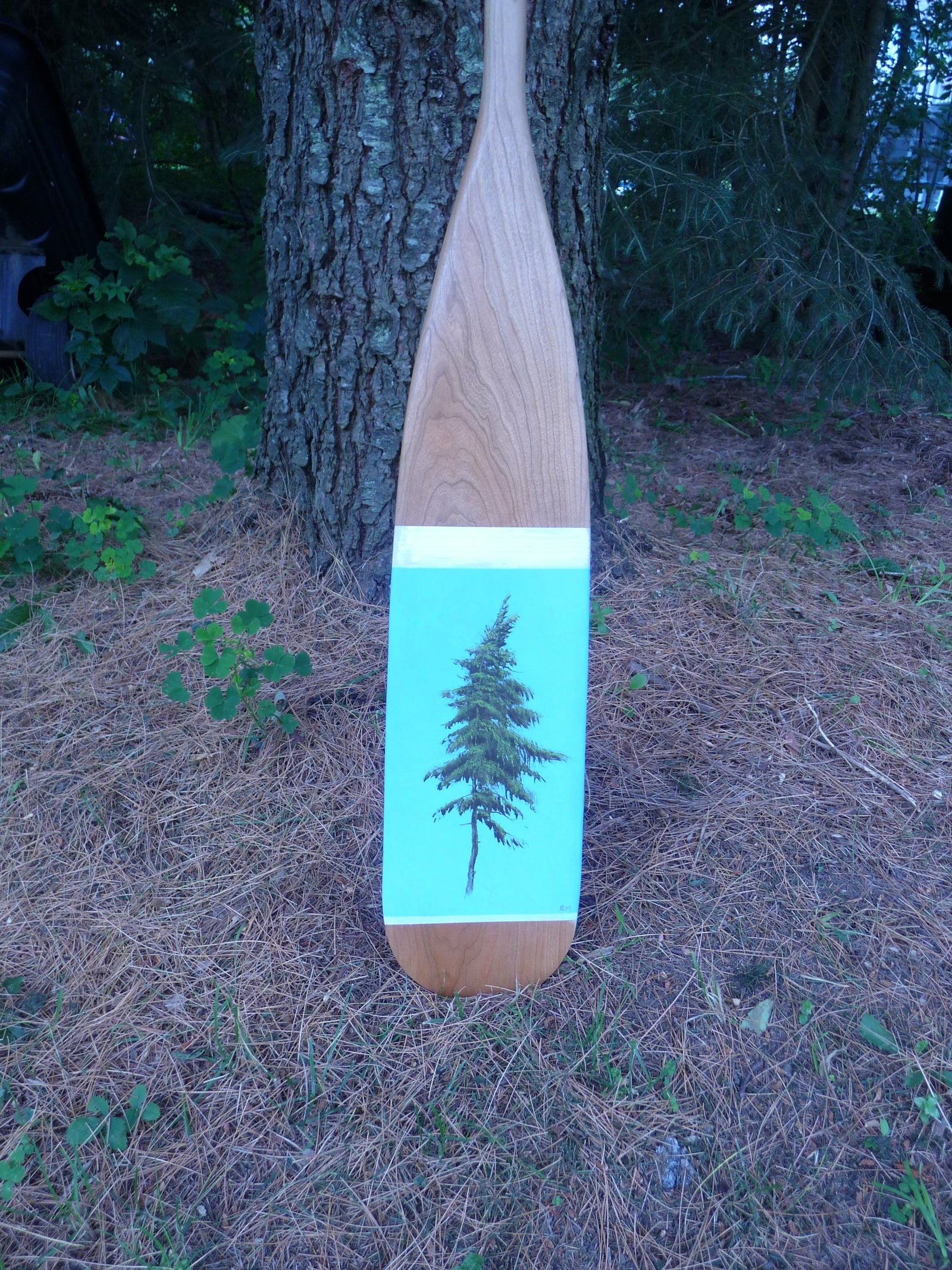 SPRUCE by Robert Marchessault